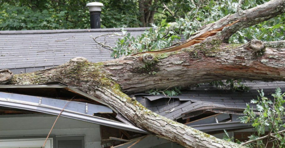 Un árbol cayó sobre una casa tras una tormenta en Charlesbourg. Será retirado por Emondage Charlesbourg.