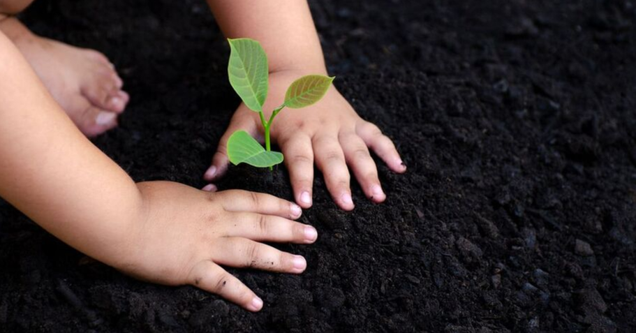 Niño en Charlesbourg plantando un árbol joven.