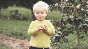 Niño en Charlesbourg comiendo una manzana de un manzano plantado por el Emondage Charlesbourg.